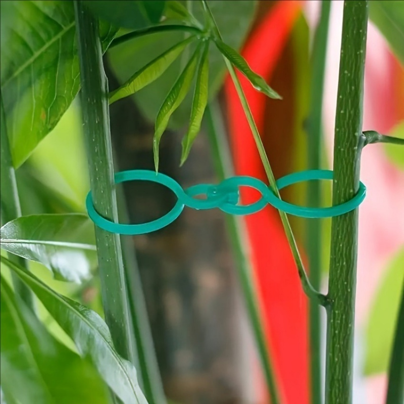 Kit de soporte para plantas de - Tie Bar Clip reseña y precio