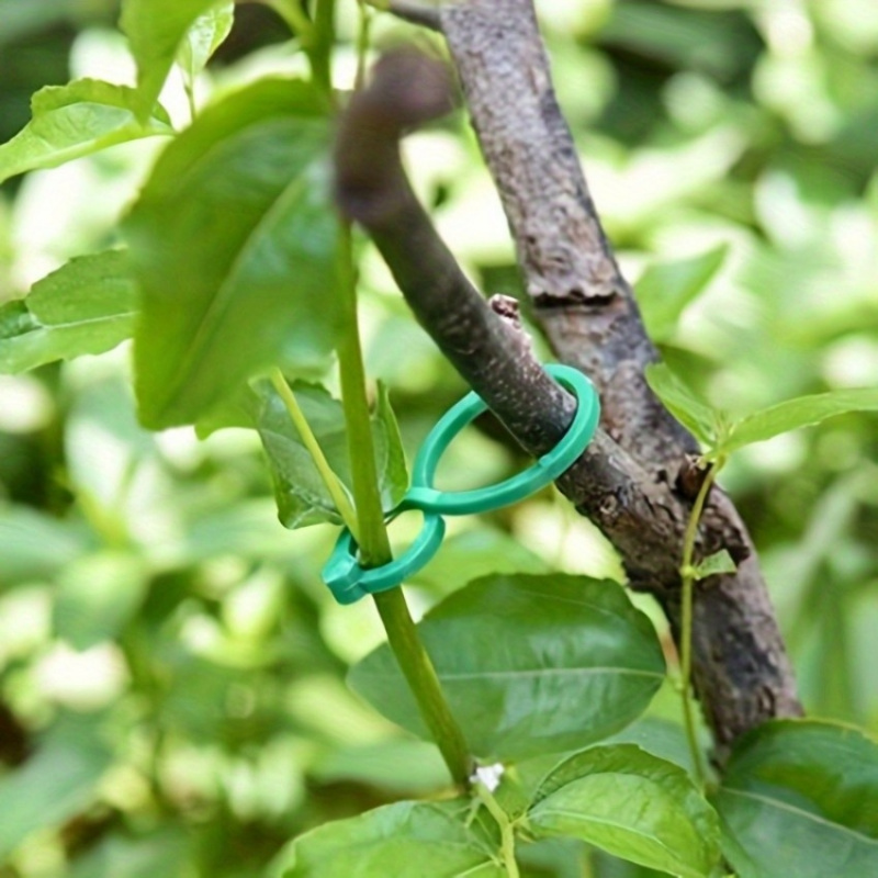 Kit de soporte para plantas de - Tie Bar Clip reseña y precio